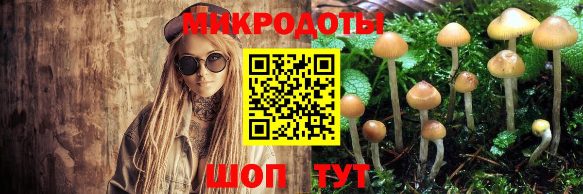 Железногорск  магазин продажи   Вход с VPN  Галлюциногенные грибы Psilocybine cubensis  Псилоцибиновые грибы мицелий 